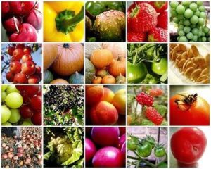 tips-memilih-buah-dan-sayur-dari-maheswari-catering-jogja